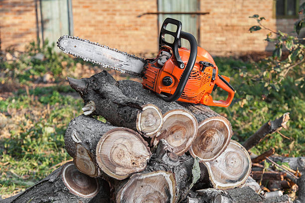 Best Tree Clearing Services  in Buchanan Dam, TX